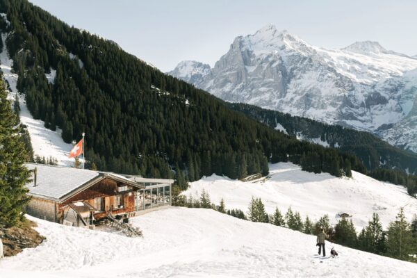 How to organize a stay in the Alps?